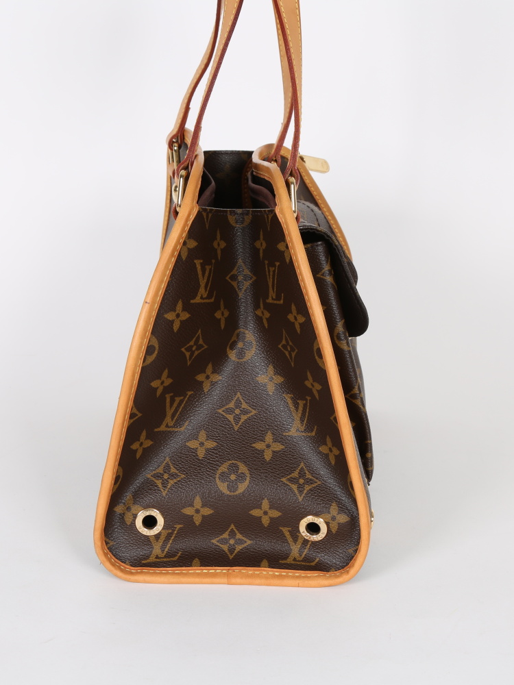 Louis Vuitton Monogram Sac Baxter PM Pet Carrier - Brown Luggage and  Travel, Handbags - LOU752204
