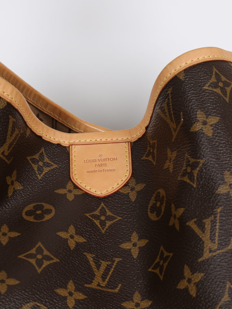louis vuitton delightful with luggage strap - Google Search  Taschen  damen, Louis vuitton delightful mm, Louis vuitton handtaschen