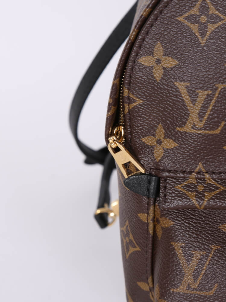 Louis Vuitton Monogram Canvas Palm Springs PM Backpack (SHF-20978