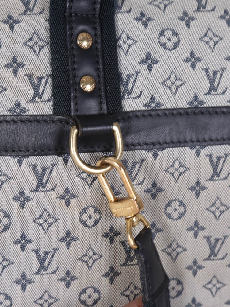 Louis Vuitton Tasche Josephine blau/grau guter Zustand
