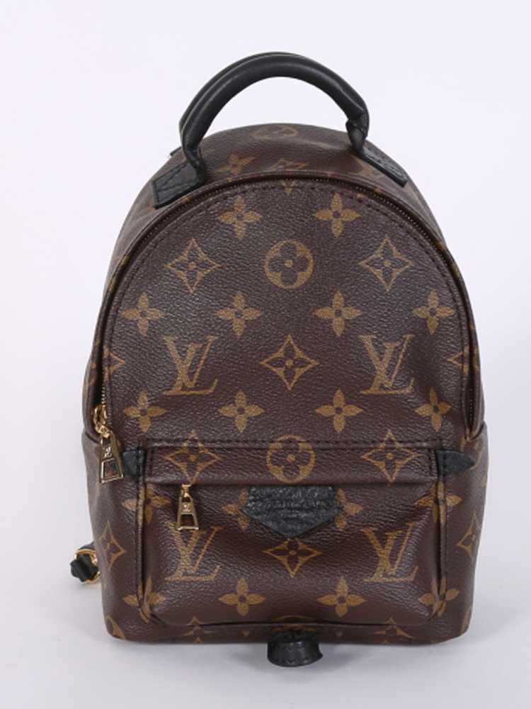 Louis Vuitton Monogram Canvas Palm Springs Mini Backpack - FINAL SALE –  LuxeDH