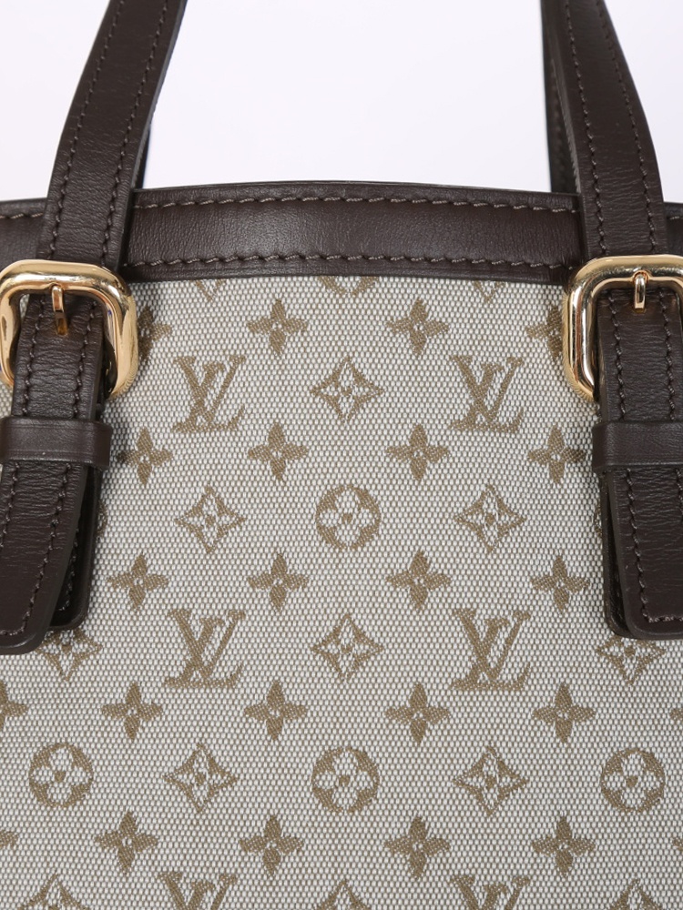 Louis Vuitton Monogram Mini Lin Francoise