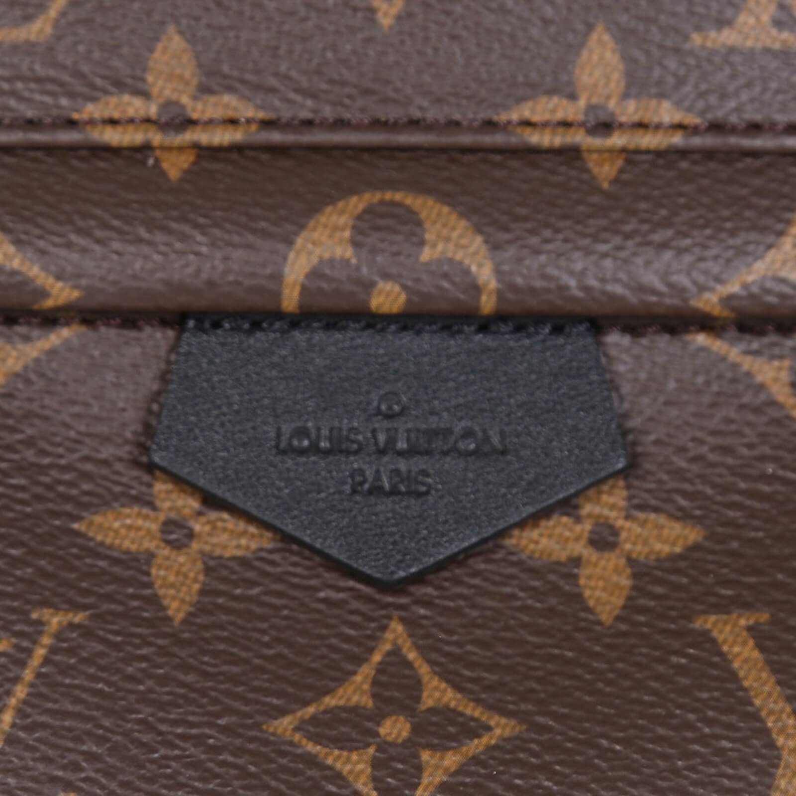 Louis Vuitton Monogram Canvas Palm Springs PM Backpack (SHF-20978